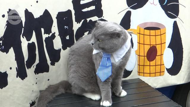 来了这里！昆明的这杯“咖啡”真不错麻将胡了模拟器试玩65万+游客都(图14)