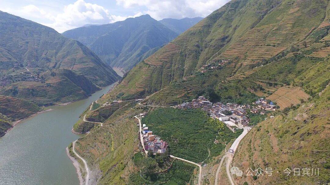 点名” 激活宾川咖啡产业新动能麻将胡了2